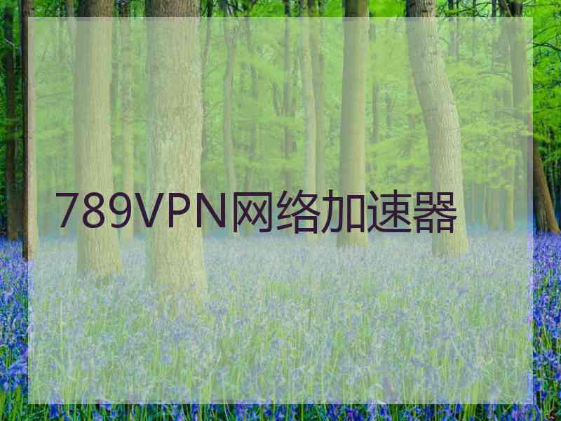 789VPN网络加速器