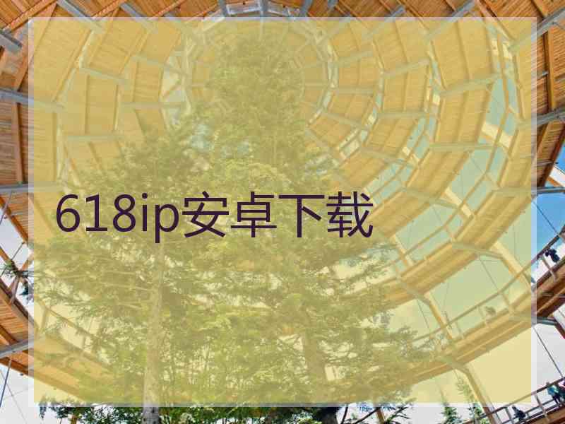 618ip安卓下载