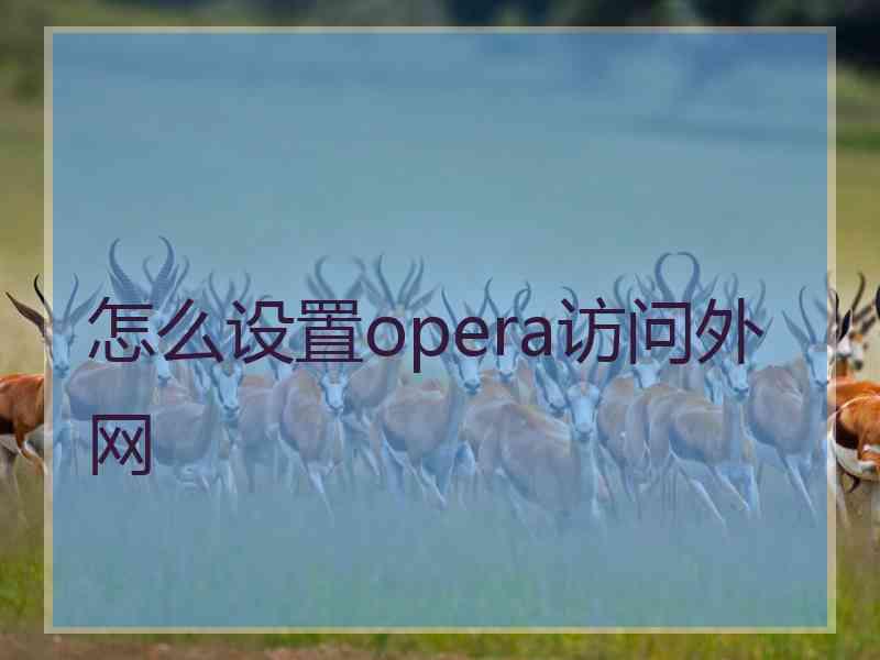 怎么设置opera访问外网