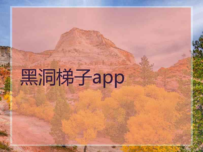 黑洞梯子app