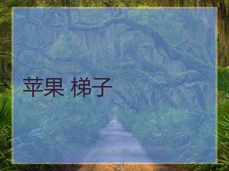 苹果 梯子