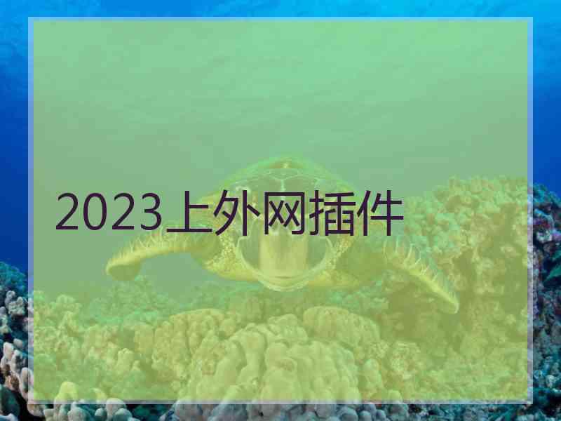 2023上外网插件
