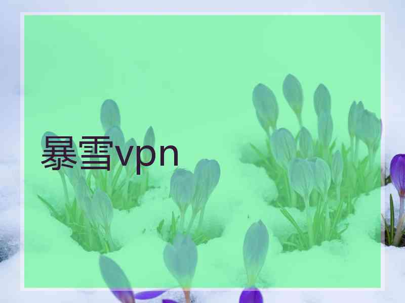 暴雪vpn