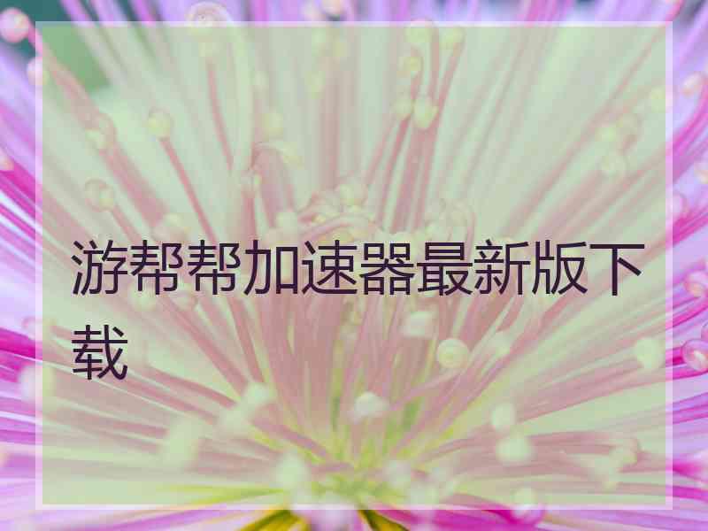 游帮帮加速器最新版下载