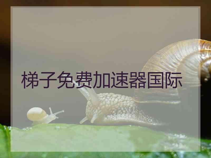梯子免费加速器国际