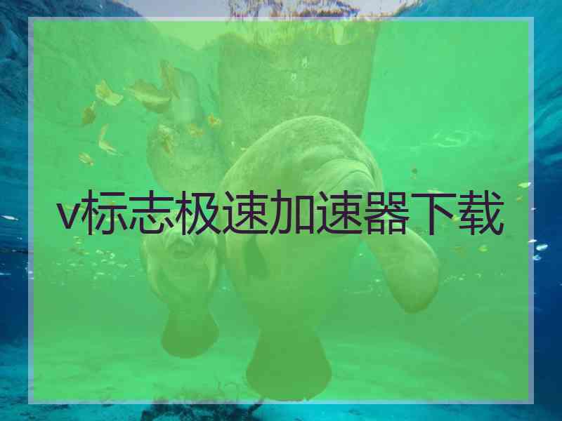 v标志极速加速器下载
