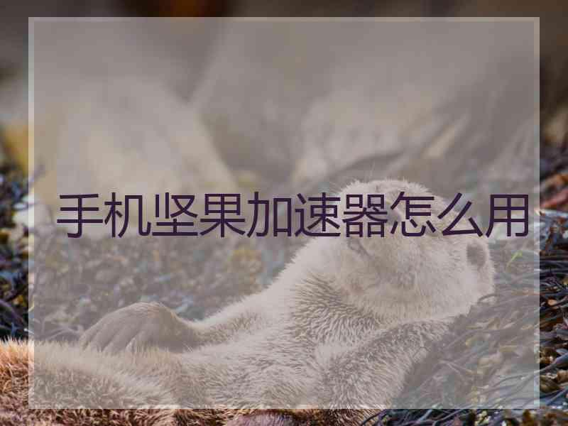 手机坚果加速器怎么用