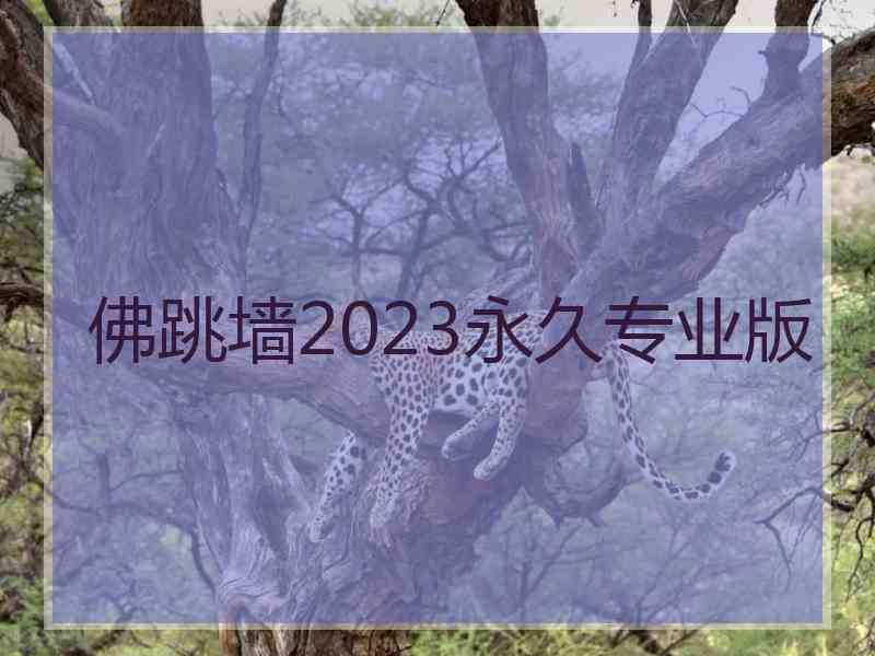 佛跳墙2023永久专业版