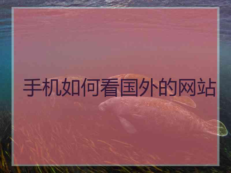 手机如何看国外的网站