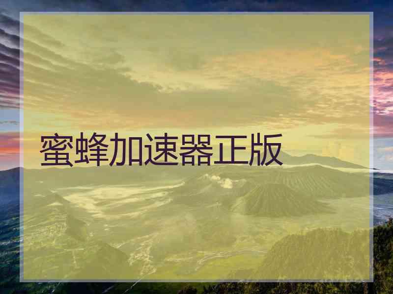蜜蜂加速器正版
