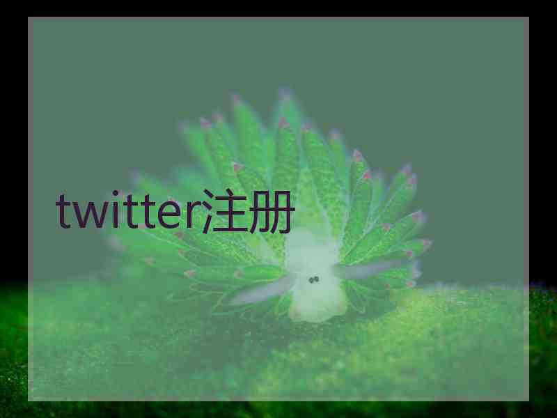 twitter注册