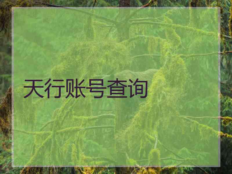 天行账号查询