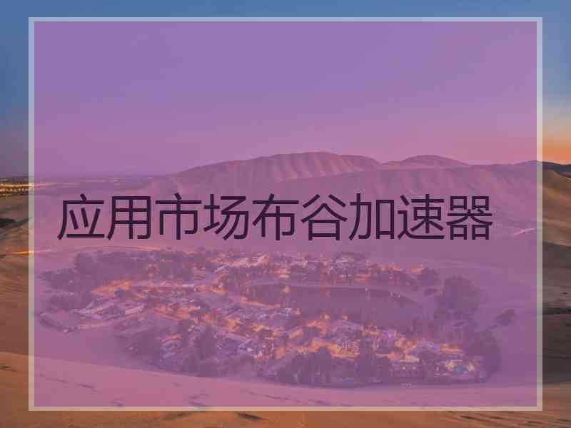 应用市场布谷加速器