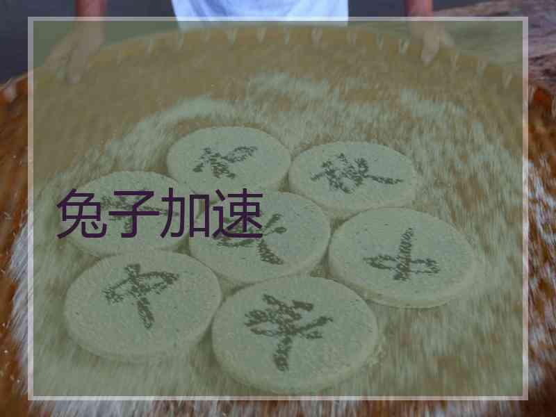 兔子加速