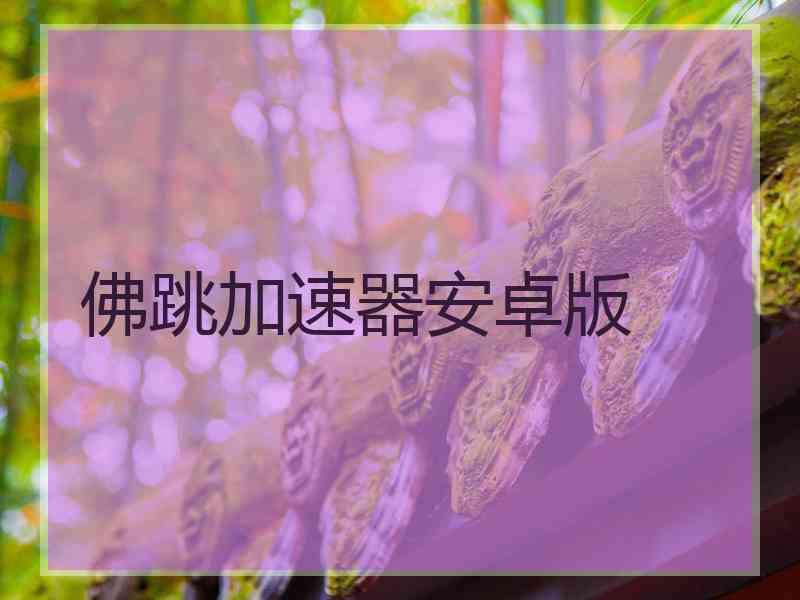 佛跳加速器安卓版