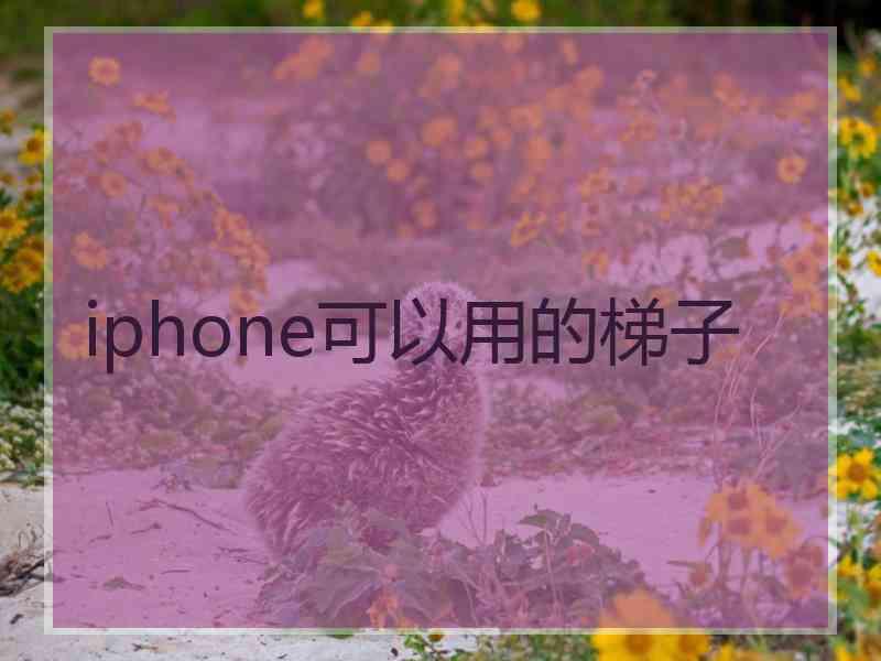 iphone可以用的梯子