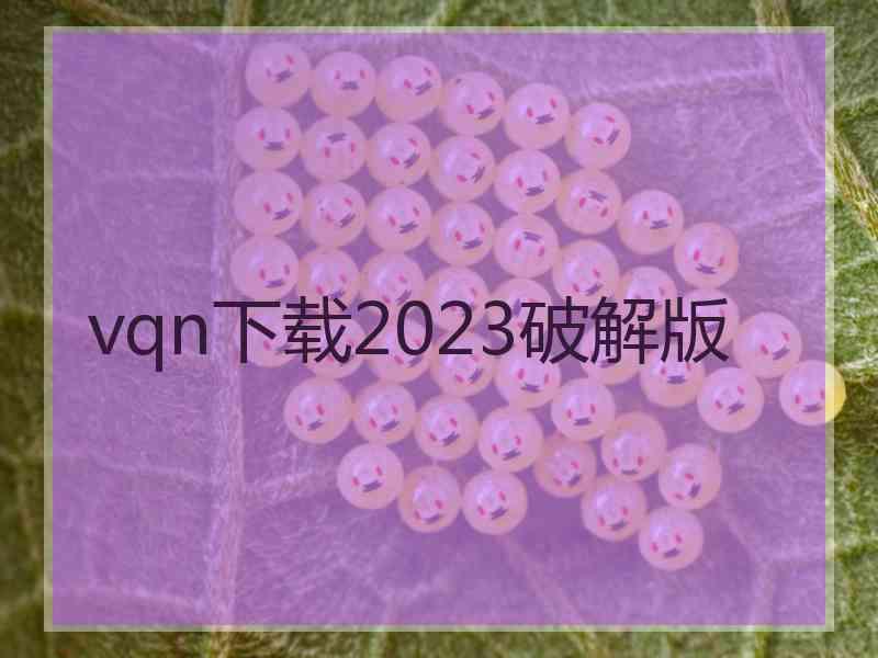 vqn下载2023破解版