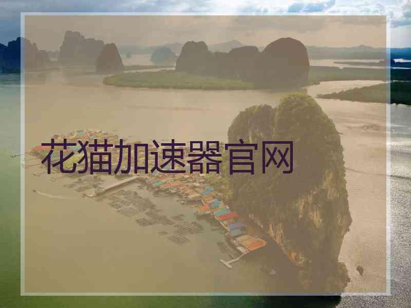 花猫加速器官网