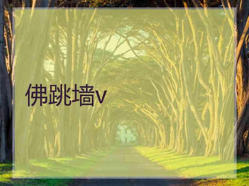 佛跳墙v
