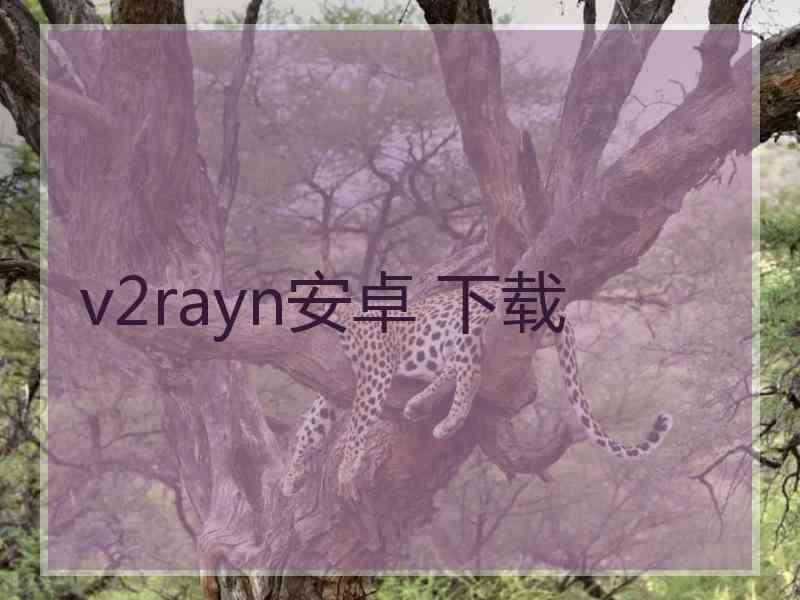 v2rayn安卓 下载