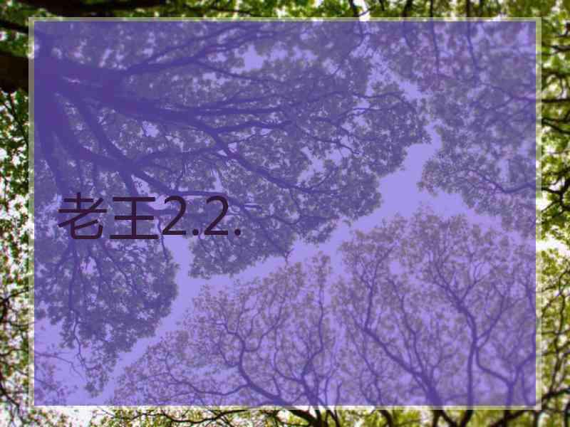 老王2.2.