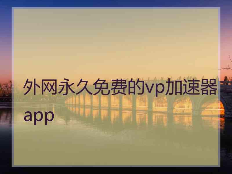 外网永久免费的vp加速器app