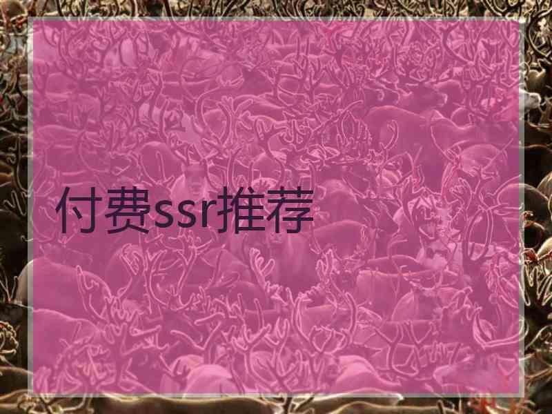 付费ssr推荐