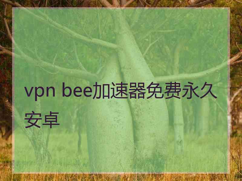 vpn bee加速器免费永久安卓
