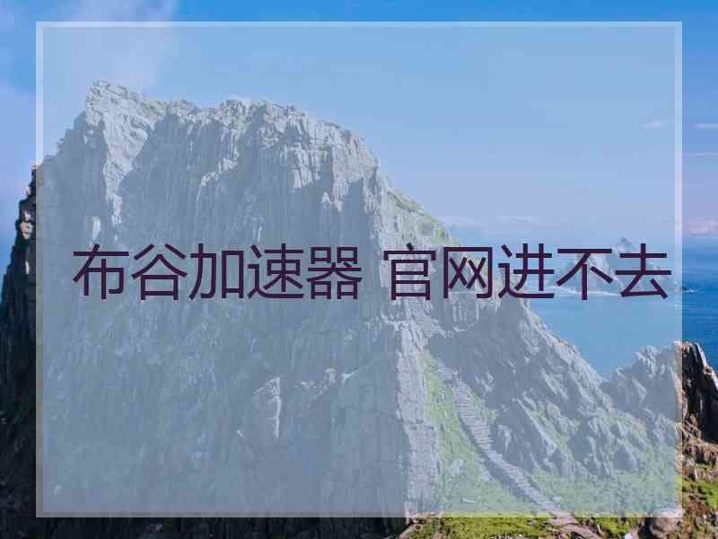 布谷加速器 官网进不去
