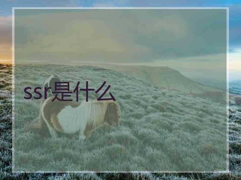 ssr是什么