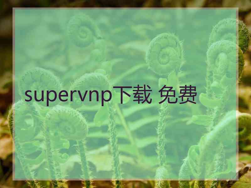 supervnp下载 免费
