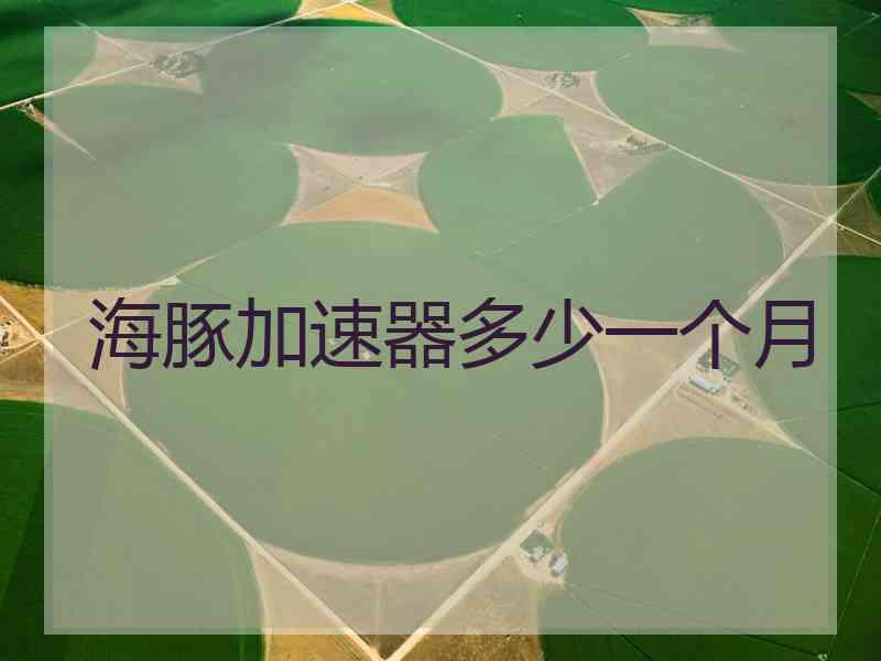 海豚加速器多少一个月