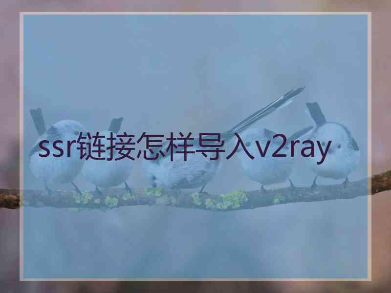 ssr链接怎样导入v2ray