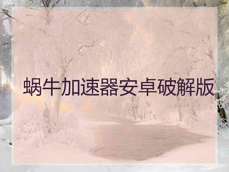 蜗牛加速器安卓破解版