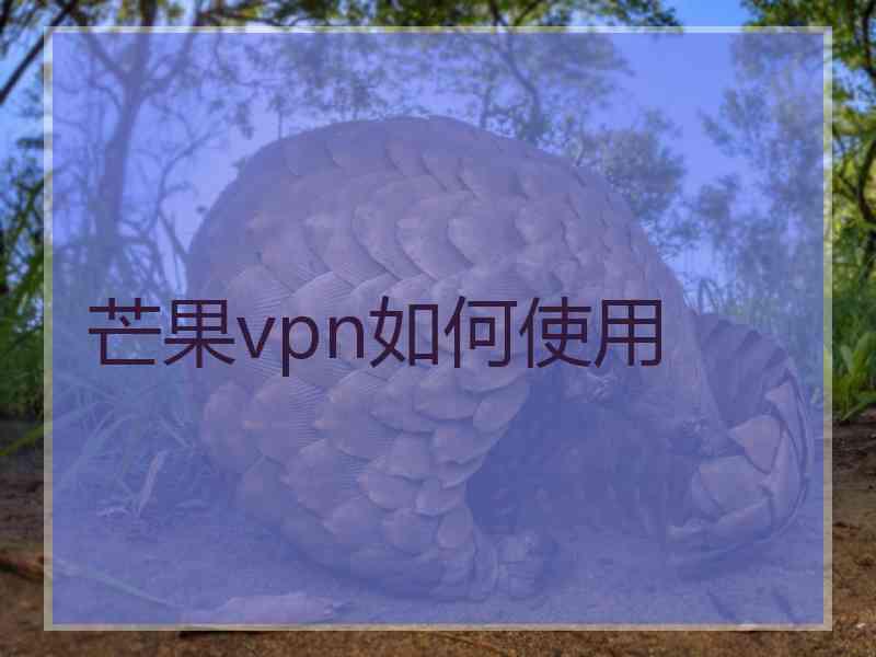 芒果vpn如何使用