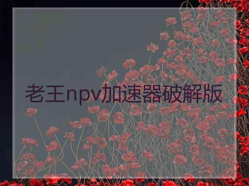 老王npv加速器破解版