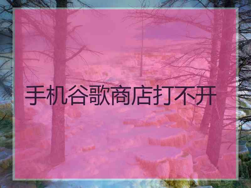 手机谷歌商店打不开
