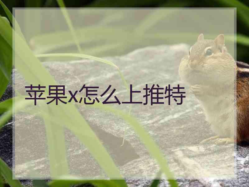 苹果x怎么上推特