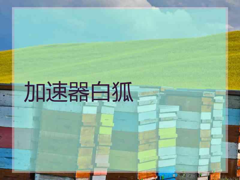 加速器白狐