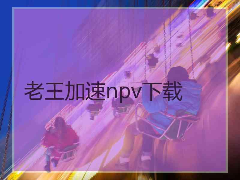 老王加速npv下载