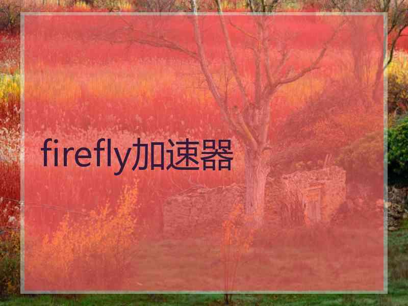 firefly加速器