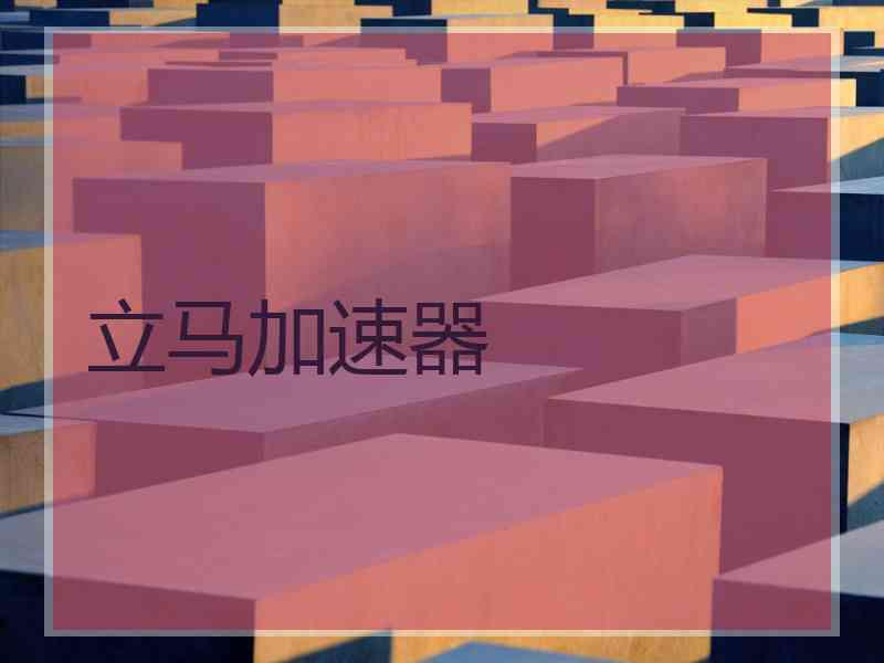 立马加速器