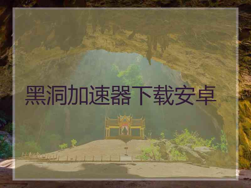 黑洞加速器下载安卓