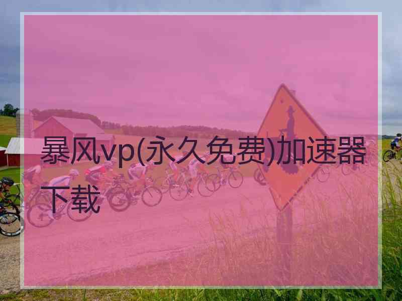 暴风vp(永久免费)加速器下载