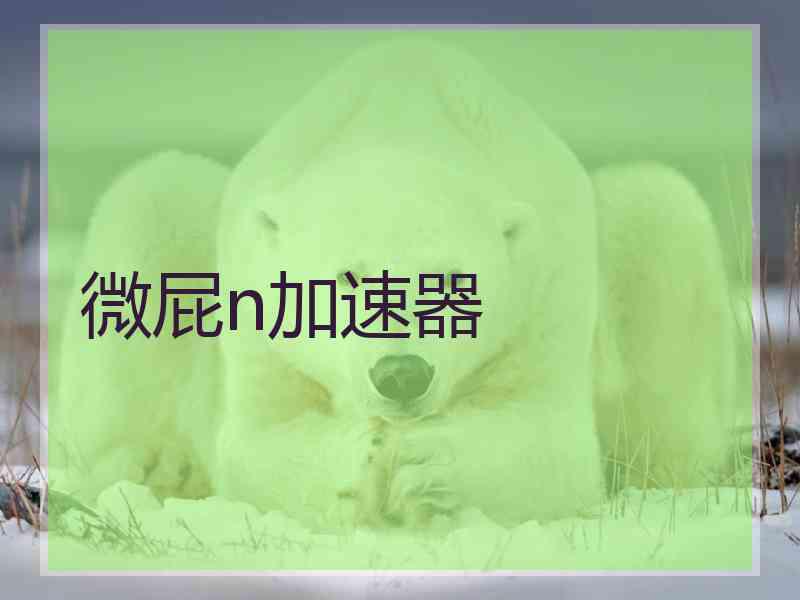 微屁n加速器