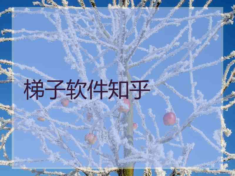 梯子软件知乎