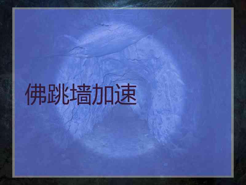 佛跳墙加速