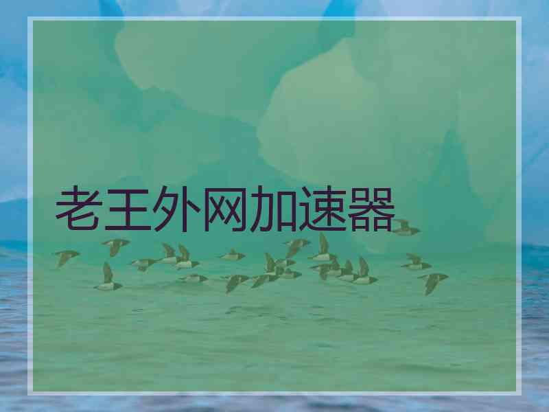 老王外网加速器