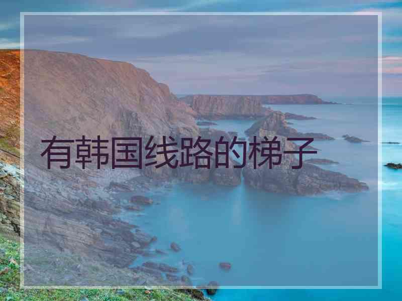 有韩国线路的梯子