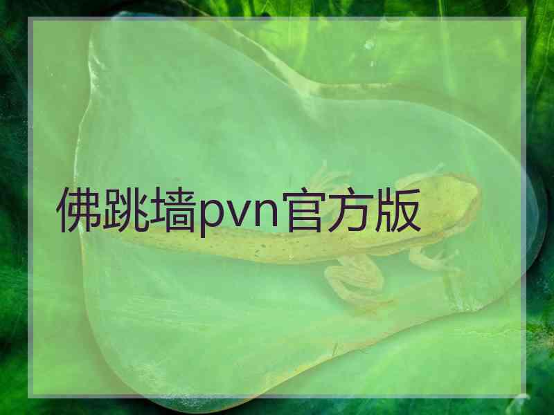 佛跳墙pvn官方版